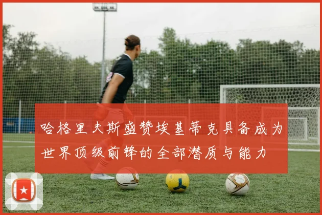 哈格里夫斯盛赞埃基蒂克具备成为世界顶级前锋的全部潜质与能力