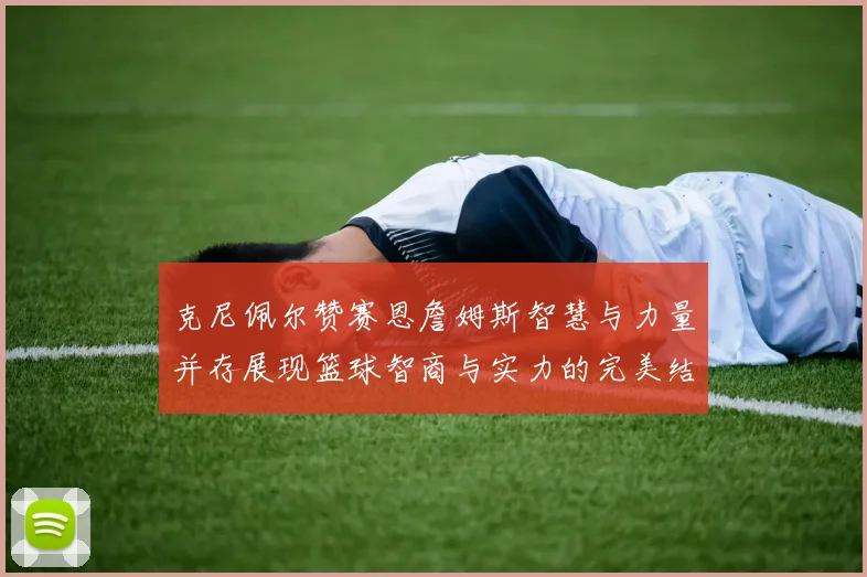 克尼佩尔赞赛恩詹姆斯智慧与力量并存展现篮球智商与实力的完美结合