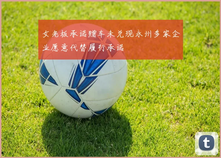 女老板承诺赠车未兑现永州多家企业愿意代替履行承诺