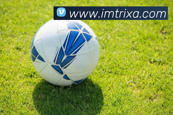 IM体育APP 体育赛事宣传图